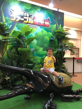 体感するファーブル昆虫展 NAGOYAに投稿された画像（2022/8/13）