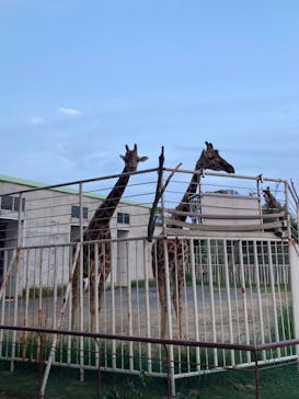 九十九島動植物園森きららに投稿された画像（2022/8/13）