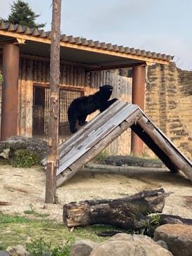 九十九島動植物園森きららに投稿された画像（2022/8/13）