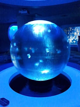 新江ノ島水族館に投稿された画像（2022/8/13）