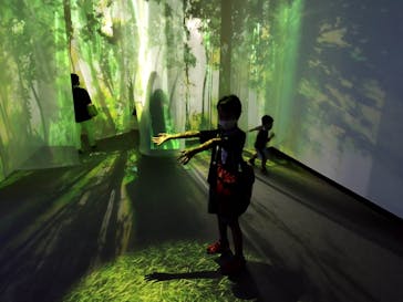 体感するファーブル昆虫展 NAGOYAに投稿された画像（2022/8/13）