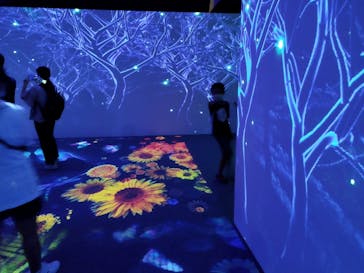 体感するファーブル昆虫展 NAGOYAに投稿された画像（2022/8/13）