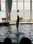 アクアワールド茨城県大洗水族館に投稿された画像（2022/8/13）