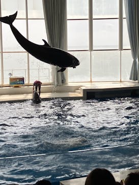 アクアワールド茨城県大洗水族館に投稿された画像（2022/8/13）