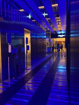 ビルボードライブ東京に投稿された画像（2022/8/13）