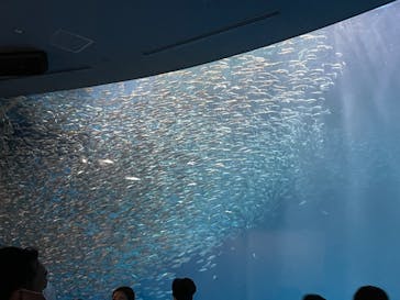 名古屋港水族館に投稿された画像（2022/8/13）