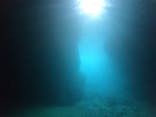 武藤潜水に投稿された画像（2022/8/13）