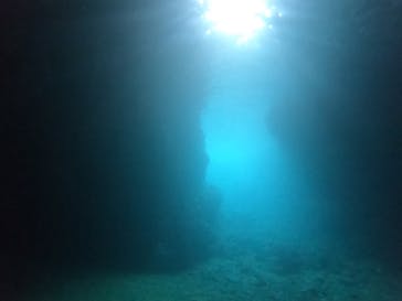 武藤潜水に投稿された画像（2022/8/13）