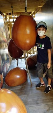 モビリティリゾートもてぎに投稿された画像（2022/8/13）