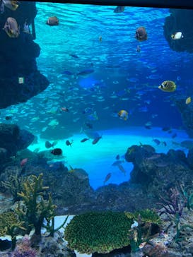 サンシャイン水族館に投稿された画像（2022/8/13）