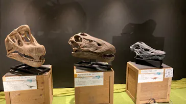 ひらかたパークに投稿された画像（2022/8/13）