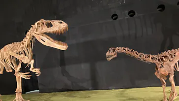 ひらかたパークに投稿された画像（2022/8/13）