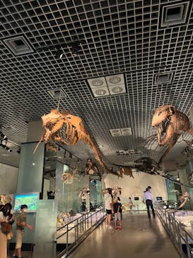 国立科学博物館に投稿された画像（2022/8/13）