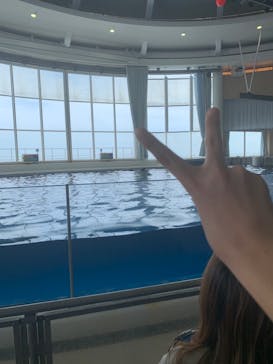 アクアワールド茨城県大洗水族館に投稿された画像（2022/8/13）