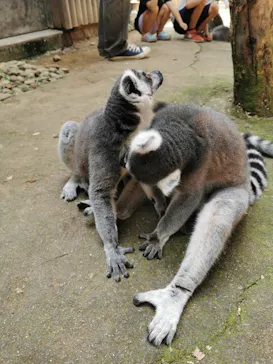 神戸どうぶつ王国に投稿された画像（2022/8/13）