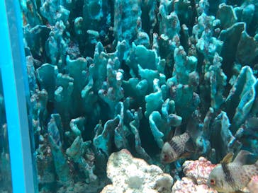 サンシャイン水族館に投稿された画像（2022/8/13）