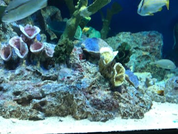 サンシャイン水族館に投稿された画像（2022/8/13）