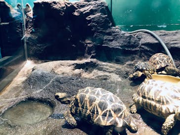 サンシャイン水族館に投稿された画像（2022/8/13）