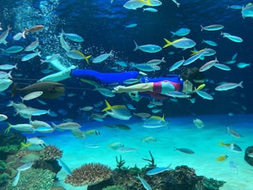 サンシャイン水族館に投稿された画像（2022/8/13）