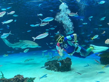 サンシャイン水族館に投稿された画像（2022/8/13）