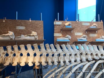 マリンワールド海の中道に投稿された画像（2022/8/13）