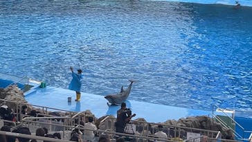名古屋港水族館に投稿された画像（2022/8/13）