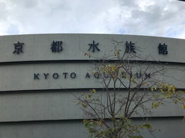 京都水族館に投稿された画像（2022/8/13）