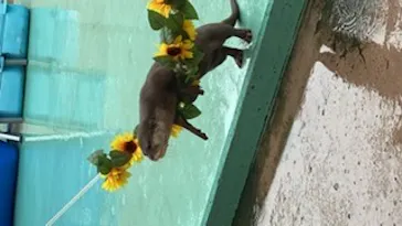 横浜・八景島シーパラダイスに投稿された画像（2022/8/13）