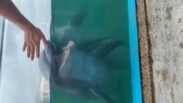 横浜・八景島シーパラダイスに投稿された画像（2022/8/13）