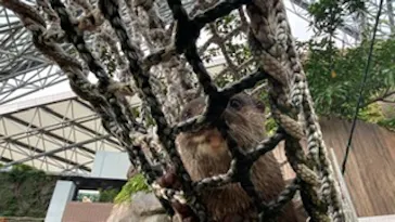 横浜・八景島シーパラダイスに投稿された画像（2022/8/13）