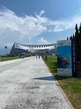マリンワールド海の中道に投稿された画像（2022/8/13）