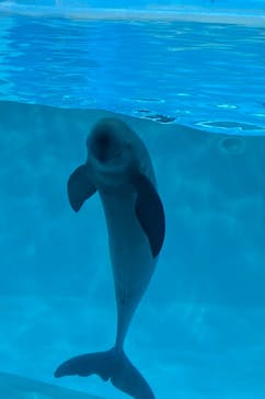 マリンワールド海の中道に投稿された画像（2022/8/13）