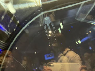 名古屋港水族館に投稿された画像（2022/8/13）