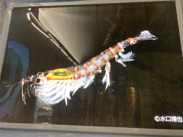 名古屋港水族館に投稿された画像（2022/8/13）