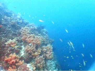 オーシャンスパ Fuuaに投稿された画像（2022/8/13）