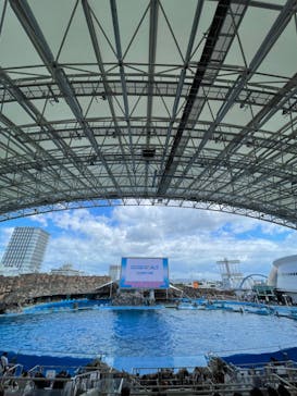 名古屋港水族館に投稿された画像（2022/8/13）