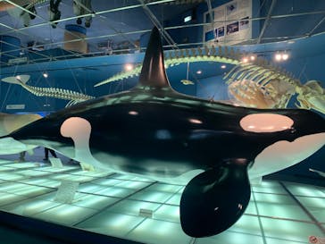 名古屋港水族館に投稿された画像（2022/8/13）