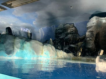 名古屋港水族館に投稿された画像（2022/8/13）