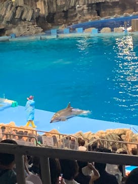 名古屋港水族館に投稿された画像（2022/8/13）