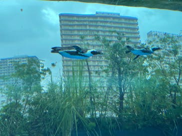 サンシャイン水族館に投稿された画像（2022/8/13）