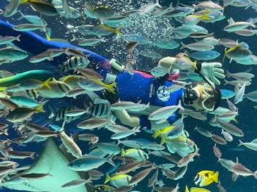 サンシャイン水族館に投稿された画像（2022/8/13）