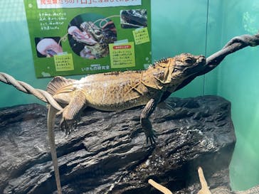 サンシャイン水族館に投稿された画像（2022/8/13）