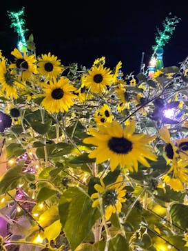 せんだい農業園芸センター　みどりの杜に投稿された画像（2022/8/13）