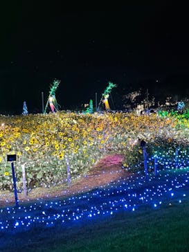 せんだい農業園芸センター　みどりの杜に投稿された画像（2022/8/13）