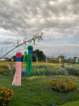 せんだい農業園芸センター　みどりの杜に投稿された画像（2022/8/13）