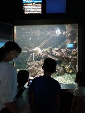 串本海中公園水族館に投稿された画像（2022/8/13）