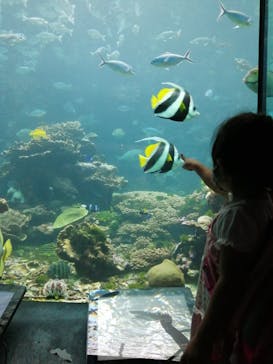 串本海中公園水族館に投稿された画像（2022/8/13）