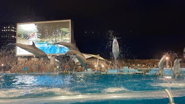 名古屋港水族館に投稿された画像（2022/8/13）
