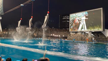 名古屋港水族館に投稿された画像（2022/8/13）