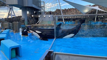 名古屋港水族館に投稿された画像（2022/8/13）